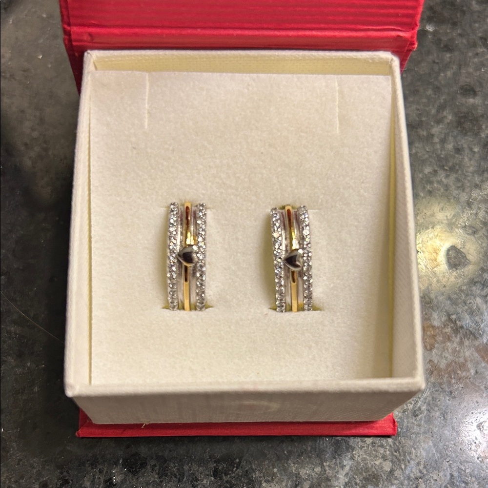 Elegant Gold and Silver Earrings